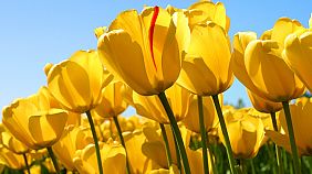 Carbonífera Catarinense implementando ações para melhor proteger o meio ambiente.