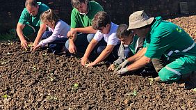 Carbonífera Catarinense realiza projeto Horta na Escola no município de Lauro Muller