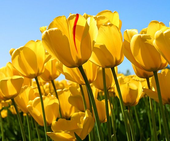 Carbonífera Catarinense implementando ações para melhor proteger o meio ambiente.