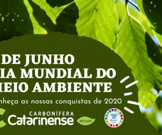 CCL comemora Dia do Meio Ambiente apresentando redução de resíduos